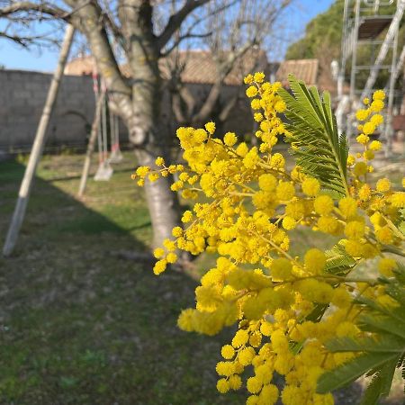 Gite Marydidou Entressen Esterno foto